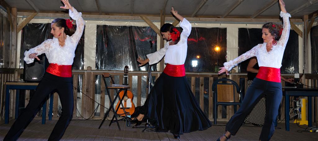 Spectacle au camping La Pointe